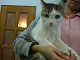 DSCF9789[1]_thumb.png